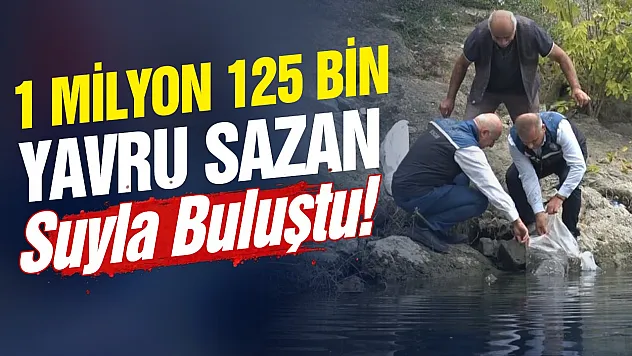 Samsun'un Mavi Vatanına 1 Milyonu aşkın Sazan yavrusu bırakıldı