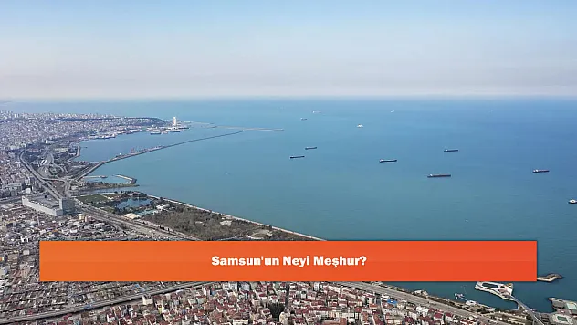 Samsun'un Neyi Meşhur?