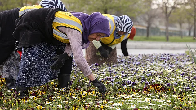 Samsun'un renk kaynakları!