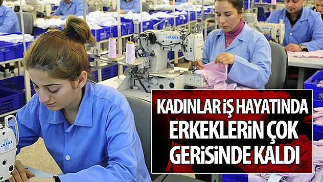 Samsun ve çevre illerde işsizlik tablosu