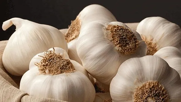 Sarımsak Doğal Antibiyotik mi?