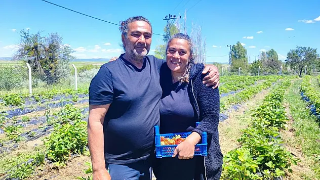 Şehirden Köye Uzanan Başarı Hikâyesi: Çilek Üretimiyle Örnek Oldular
