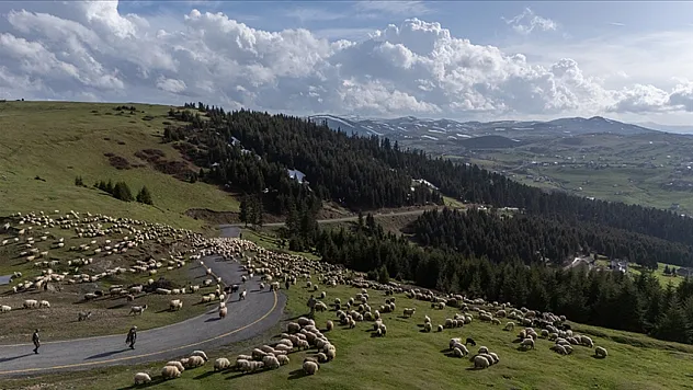 Sektöre nefes aldırması bekleniyor