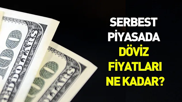 Serbest piyasada döviz fiyatları