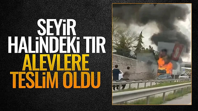 Seyir halindeki tır alevlere teslim oldu