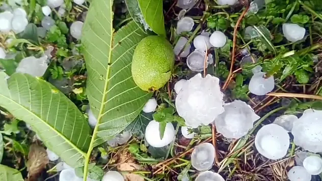 Şiddetli dolu yağışı etkili oldu