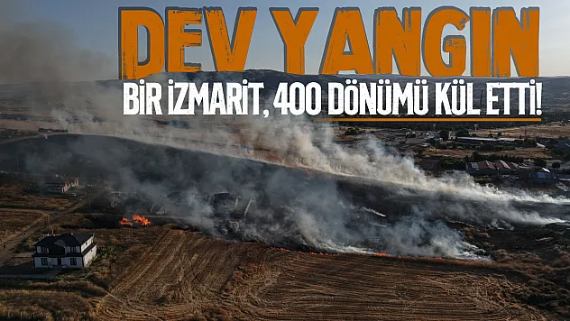 Sigara İzmariti Felakete Yol Açtı! 400 Dönüm Arazi Küle Döndü