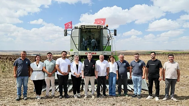Silivri'de yaklaşık bin 500 dekar alanda ayçiçeği hasadı başladı