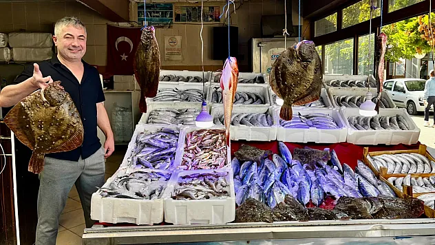 Sinop'ta balıkçı tezgahları bol avlanan kalkanla süslendi