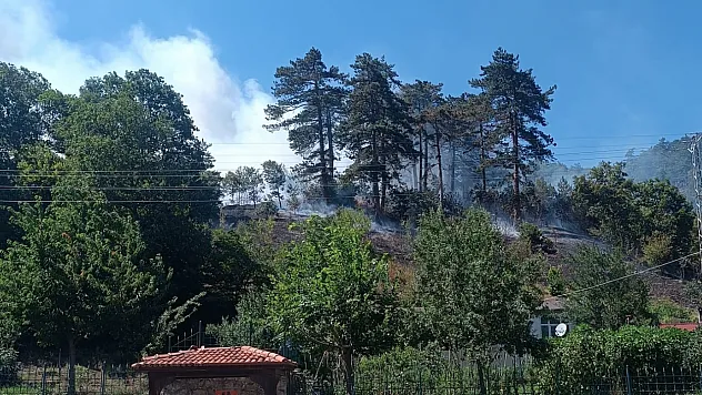 Sinop'ta çıkan yangın sonrası 1 kişi tutuklandı