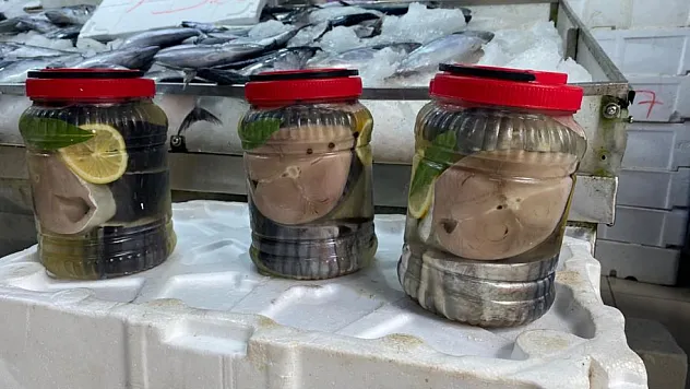 Sinop'ta geleneksel balık tuzlama yöntemi yaşatılıyor