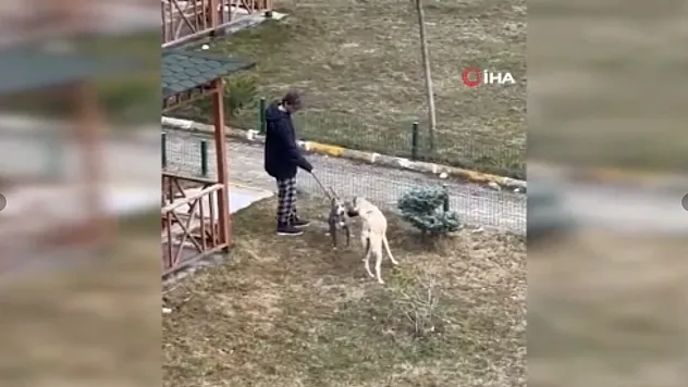 Site sakinlerinden Palandöken Kaymakamı Kızılgüneş'e destek