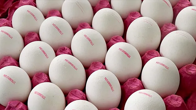 'Son tüketim tarihi' ibaresi, 'tavsiye edilen tüketim tarihi' olarak değiştirildi