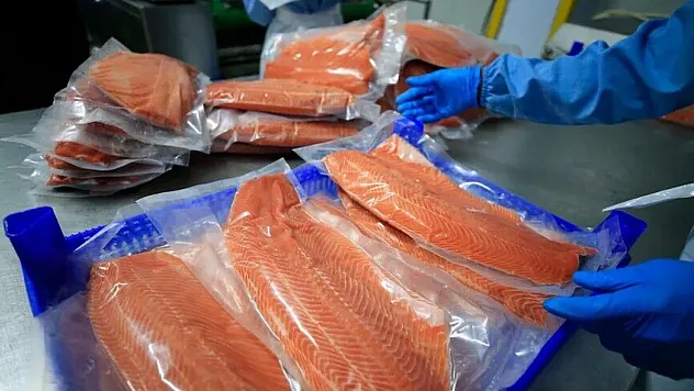 Su Ürünleri ve Hayvansal Mamuller İhracatında 1,9 Milyar Dolarlık Başarı