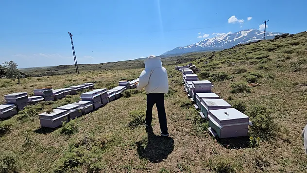 Süphan Dağı'nın Zengin Florası Arıcının Yüzünü Güldürdü