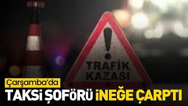 Taksi şoförü İneğe Çarptı