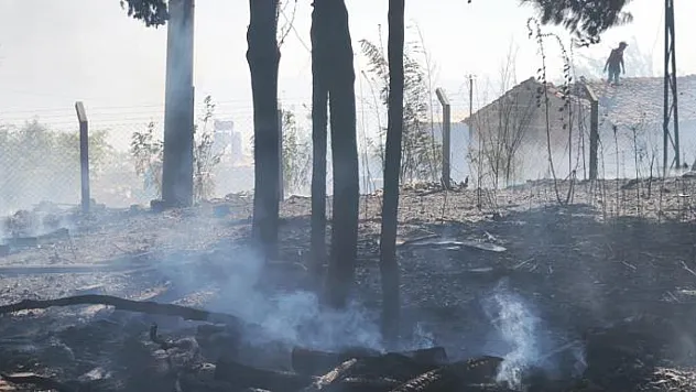 Tarım arazilerinde çıkan yangın kontrol altında