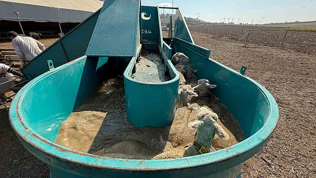 Tarım ve Hayvancılığa Güçlü Destek