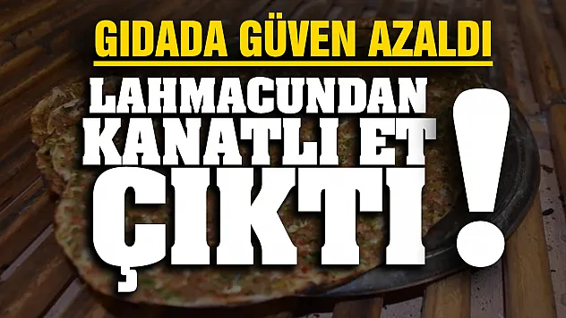Tarım ve Orman Bakanlığı hileli ürünlere aman vermiyor