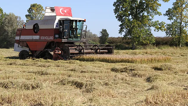 Tarlalarda biçerdöver sesleri yankılanıyor