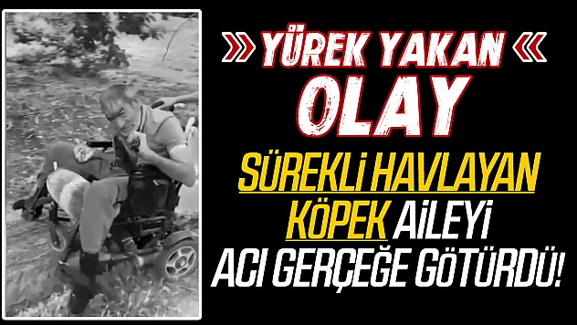 Tekerlekli sandalyesi tutuşan engelli vatandaş hayatını kaybetti