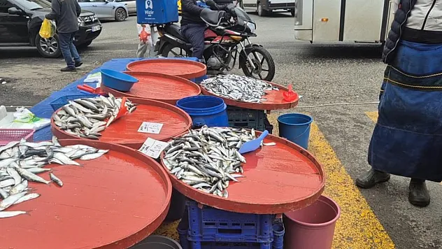 Tekirdağ'da hamsi el yakıyor! 50 liradan 200 liraya fırladı!