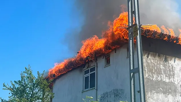 Terme'de bahçede yakılan ateş evi sardı