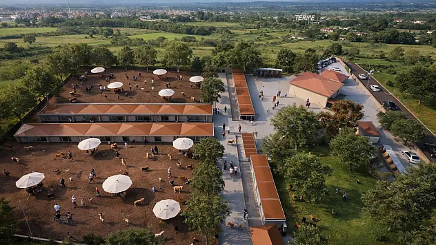 Terme'de bin hayvan kapasiteli bakım evinde çalışmalar hız kazandı
