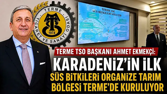 Terme'de Dev Tarım Hamlesi