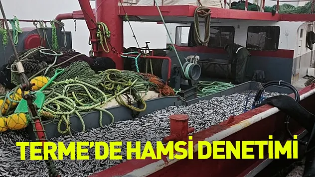 Terme'de hamsi denetimi