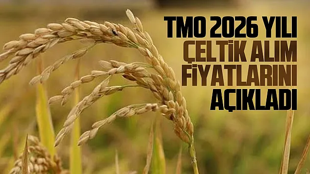 TMO çeltik alım fiyatları açıklandı