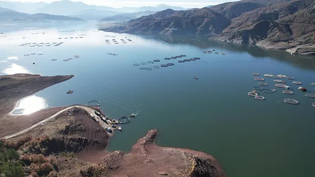 Tokat'ın somonları dünya sofralarına ulaşıyor
