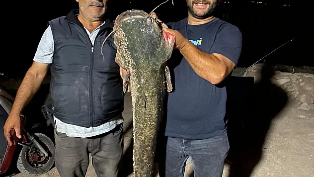 Tokat'ta 153 santimetre uzunluğunda yayın balığı avlandı