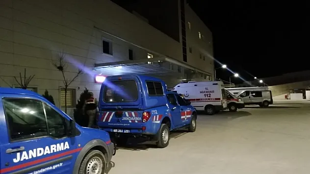 Tokat'ta ağaç keserken canından oldu