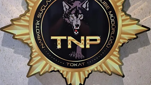 Tokat'ta uyuşturucu operasyonu, 500 içimlik bonzai ele geçirildi