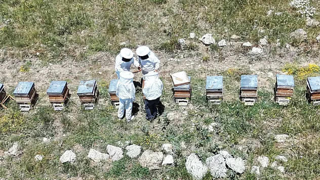 Toroslar'da Bal Hasadı Bereketi: Eğriçayır Yaylası'nda Petekler Dolup Taştı