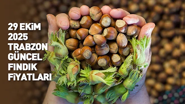 Trabzon 29 Ekim 2025 Güncel Fındık Fiyatları: Serbest Piyasada Fındık Ne Kadar?