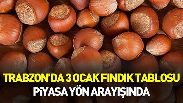 Trabzon'da 3 Ocak Fındık Tablosu: Piyasa Yön Arayışında