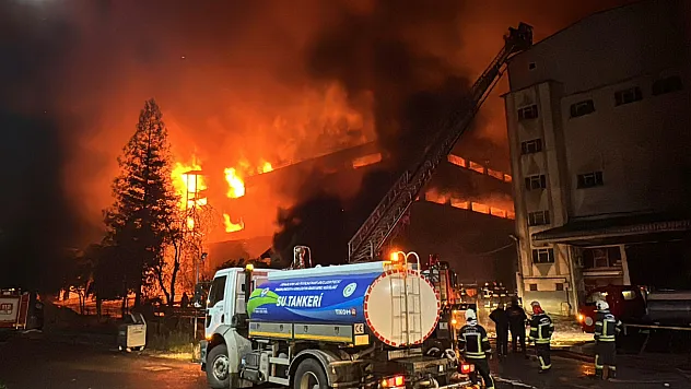 Trabzon'da fındık fabrikasındaki yangın kontrol altına alındı