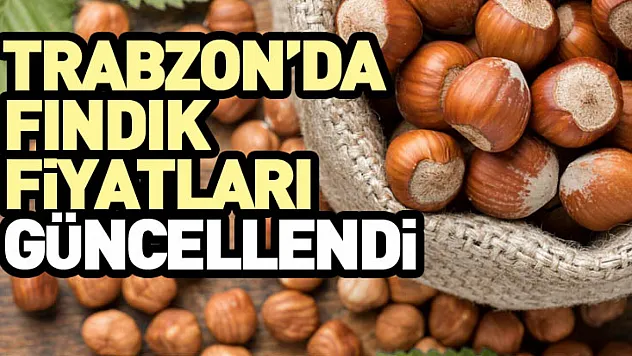 Trabzon'da Fındık Fiyatları Güncellendi