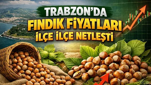 Trabzon'da Fındık Fiyatları İlçe İlçe Netleşti