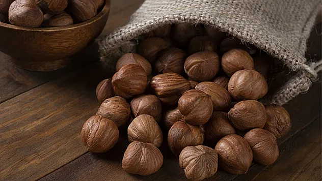 Trabzon'da fındık fiyatları ilçelere göre değişiyor