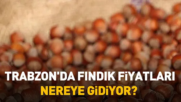 Trabzon'da Fındık Fiyatları Nereye Gidiyor? 31 Ocak Hafta Sonu Rakamları
