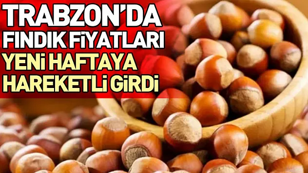 Trabzon'da Fındık Fiyatları Yeni Haftaya Hareketli Girdi