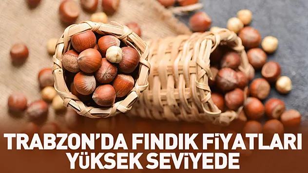 Trabzon'da Fındık Fiyatları Yüksek Seviyede