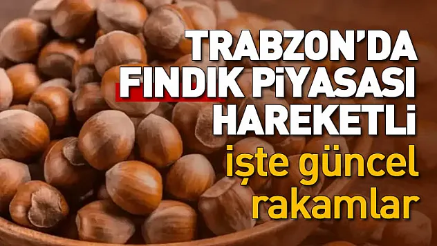 Trabzon'da fındık piyasası hareketli: İşte güncel rakamlar