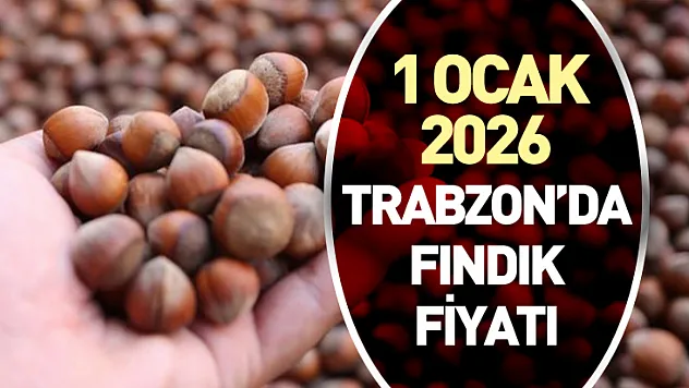 Trabzon'da Fındık Piyasası Sakin Ama Dirençli – 1 Ocak 2026 Trabzon'da Fındık Fiyatı