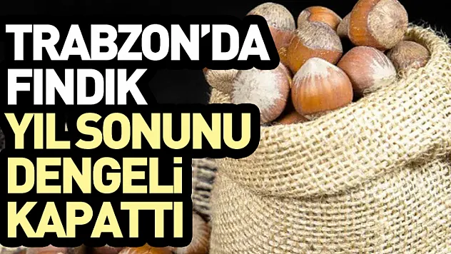 Trabzon'da Fındık Yıl Sonunu Dengeli Kapattı