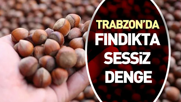 Trabzon'da Fındıkta Sessiz Denge: Piyasa Yön Arıyor