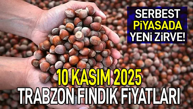 Trabzon Fındık Fiyatları 10 Kasım 2025: Serbest Piyasada Yeni Zirve!